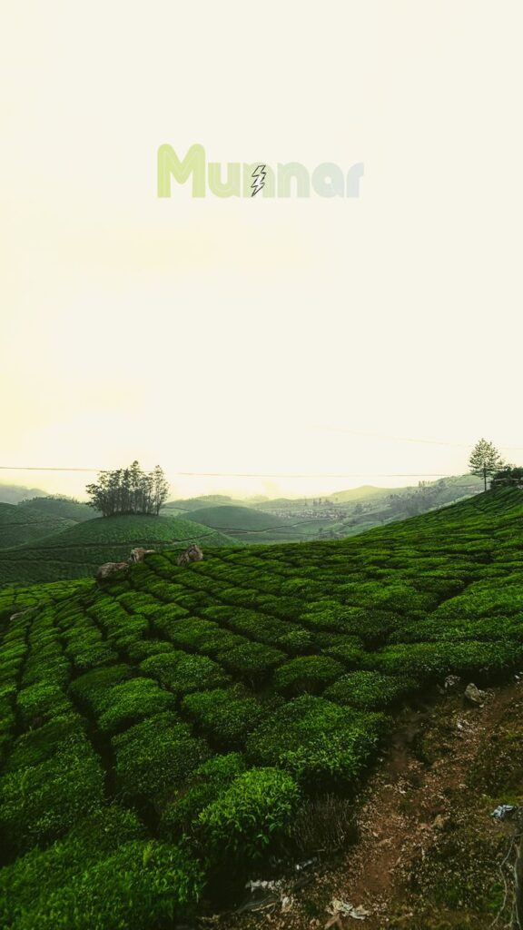 Hidden places in Munnar