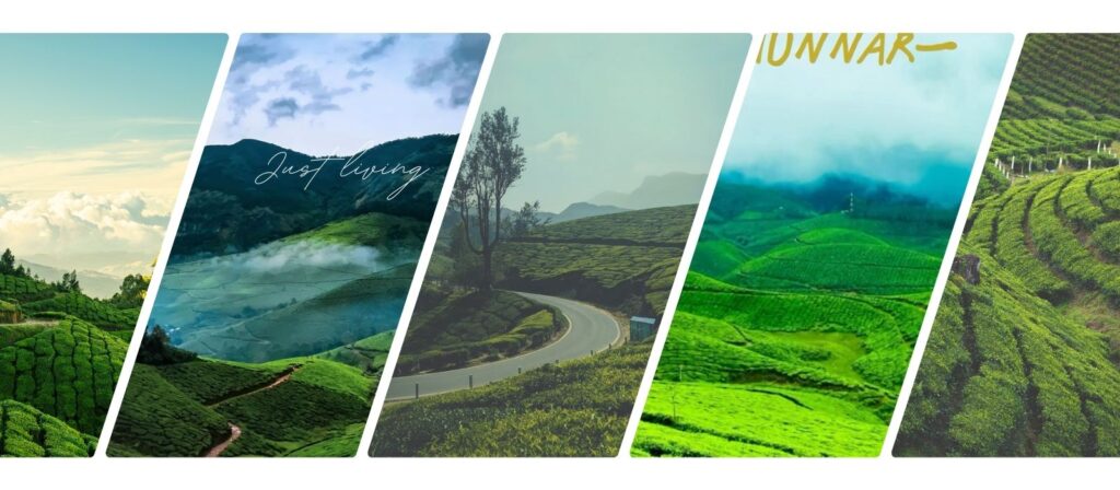 Munnar Travel Guide