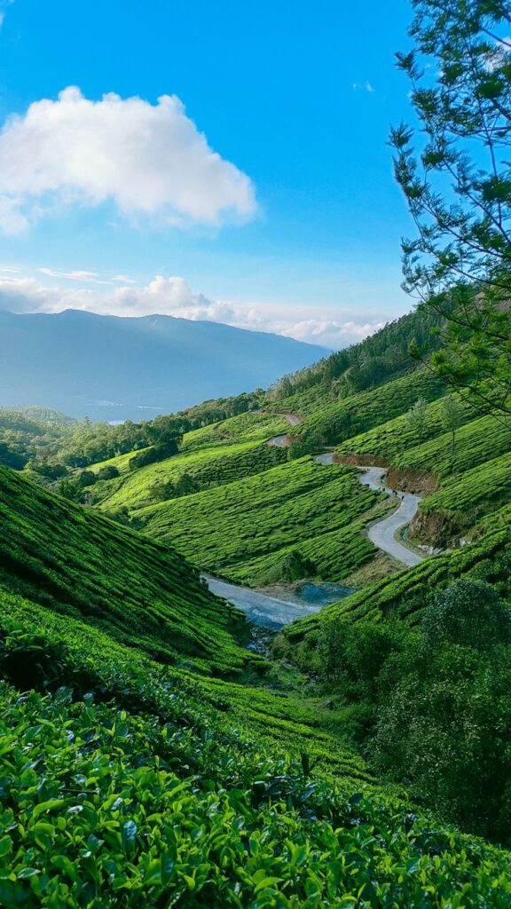Best places to visit in Kerala