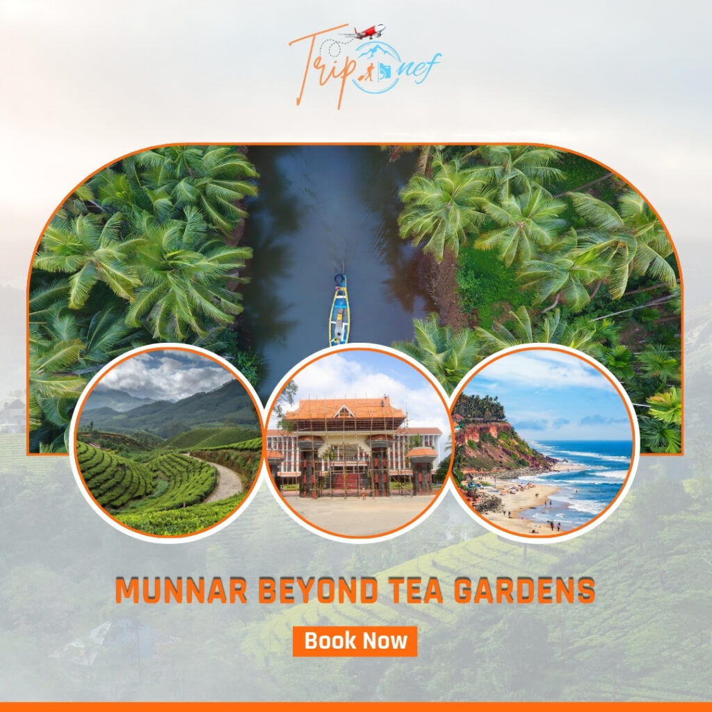 Hidden places in Munnar